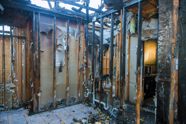 Professional Fire Damage Removal technician working in Gainesville, VA