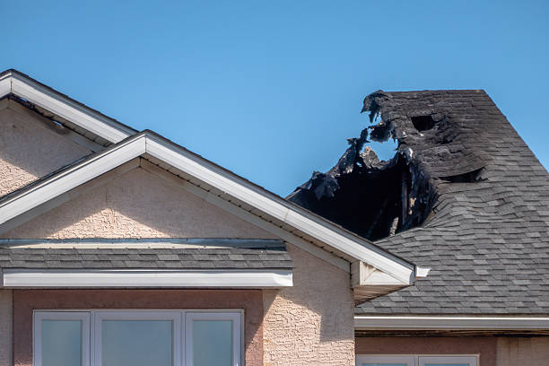 Top rated local Fire Damage Removal specialists in Gainesville, VA